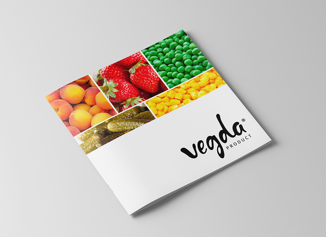 дизайн каталога Vegda 64